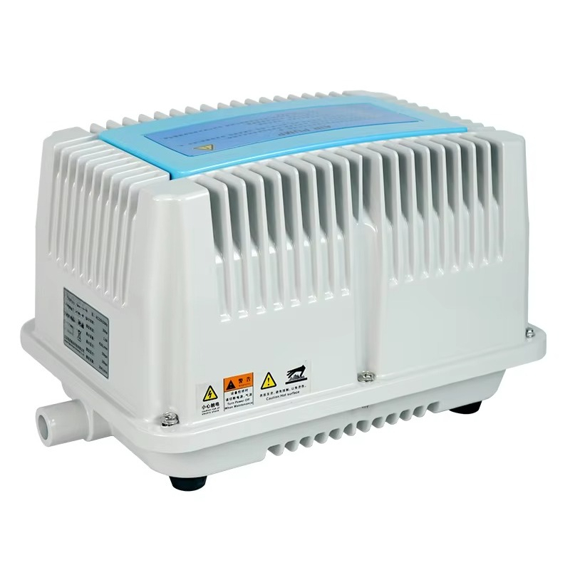 115v Car air Compressor/ 220v  - Car Vacuum review and price
